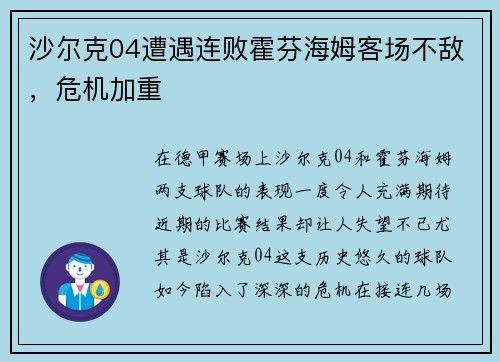 沙尔克04遭遇连败霍芬海姆客场不敌，危机加重
